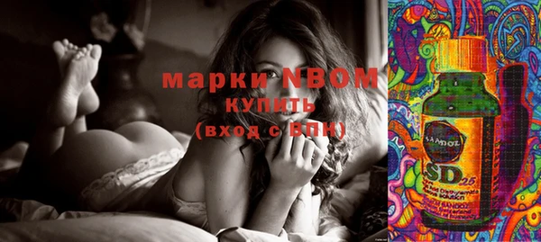 молекула духа Балахна