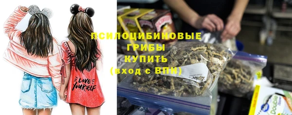 молекула духа Балахна