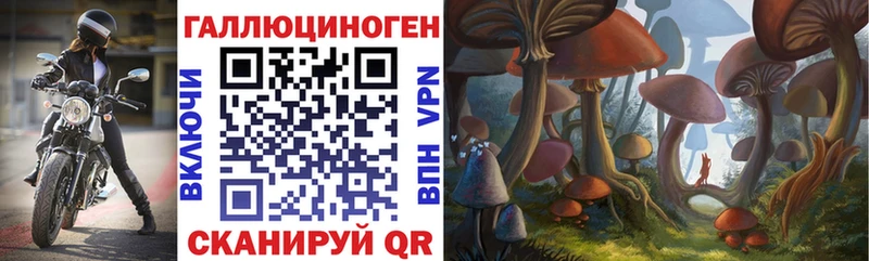 Псилоцибиновые грибы Psilocybine cubensis  Городище 
